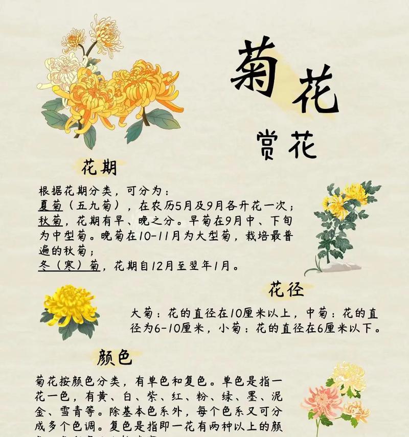 不同颜色的花代表什么含义？花的颜色有何象征意义？