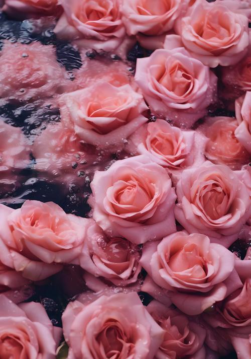 花语花思的浪漫含义是什么？浪漫花语代表什么？