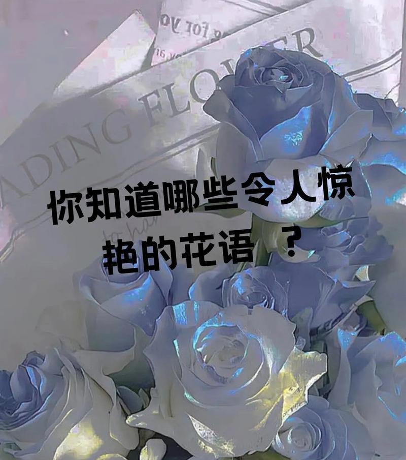花语花思的浪漫含义是什么？浪漫花语代表什么？