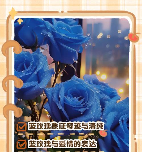 蓝色雏菊的花语是什么？它代表了哪些情感？