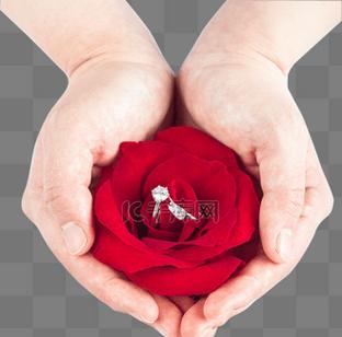 情侣手捧玫瑰花代表了什么？