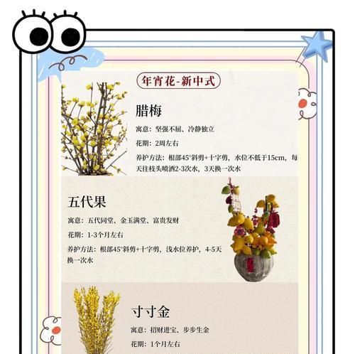 春节期间哪种花寓意最好？