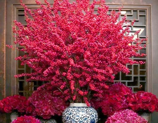 春节期间哪种花寓意最好？