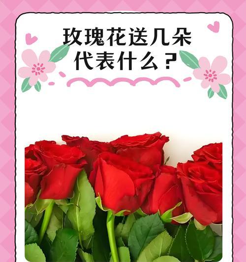 哪朵花被视为爱情的象征？