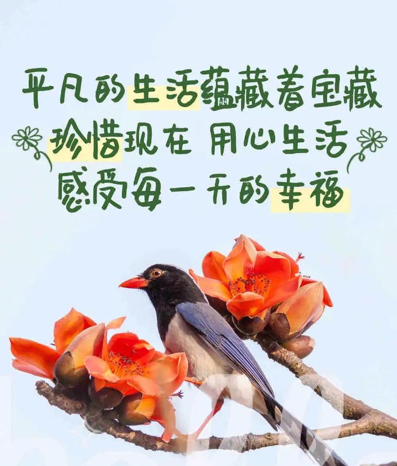 春色花语门的含义是什么？