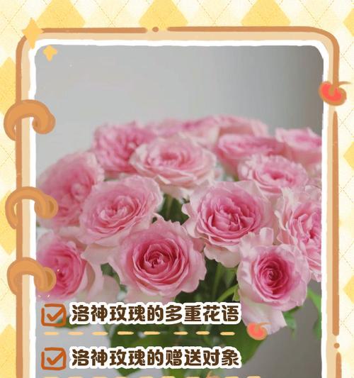 如意玫瑰花的寓意是什么？如意玫瑰花的花语有哪些？