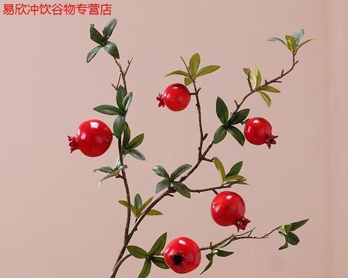 春节门口摆放什么花有吉祥寓意？