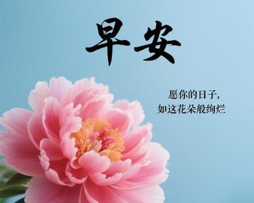 什么花寓意经济繁荣昌盛？