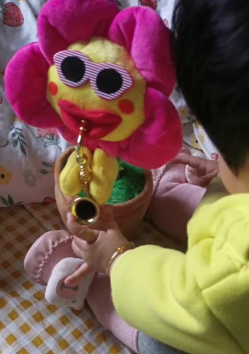 腊八节送太阳花的寓意是什么？太阳花在节日中代表什么？