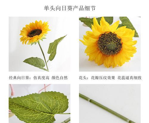 腊八节送太阳花的寓意是什么？太阳花在节日中代表什么？