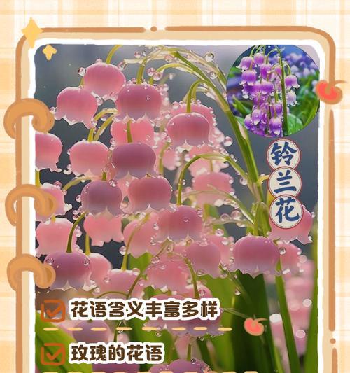 如何用花语浪漫表达情感？花语表达有哪些技巧？