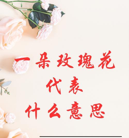 不同颜色玫瑰花的含义是什么？三种颜色玫瑰代表什么？