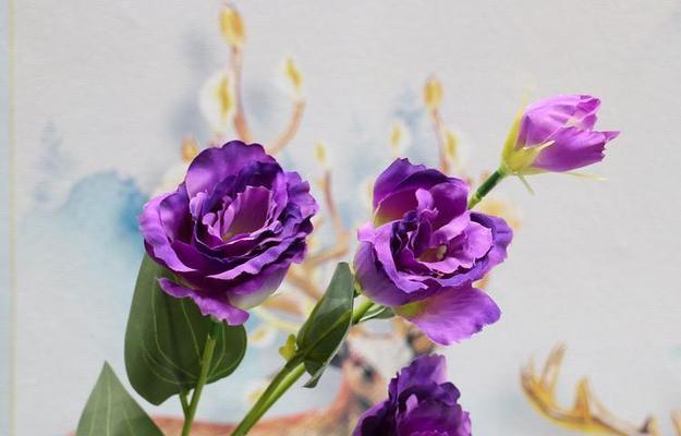 送紫色花的寓意是什么？紫色花的花语有哪些？