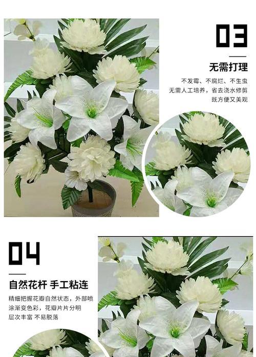 白色圆形花的寓意是什么？