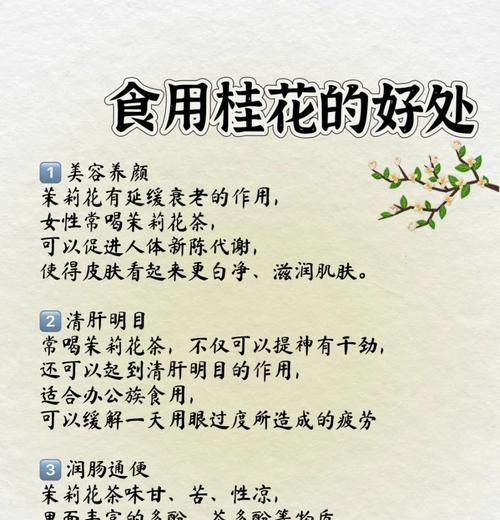 送茉莉花给长辈有何寓意？茉莉花象征着什么？