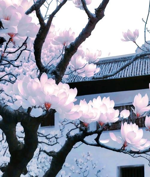 哪种花象征着纯真爱情？它们的花语是什么？
