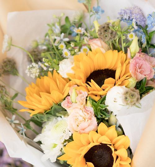 哪种花代表平安长寿？它的花语寓意是什么？