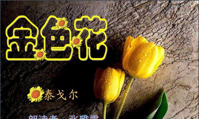 金色花有哪些寓意？金色花的含义是什么？
