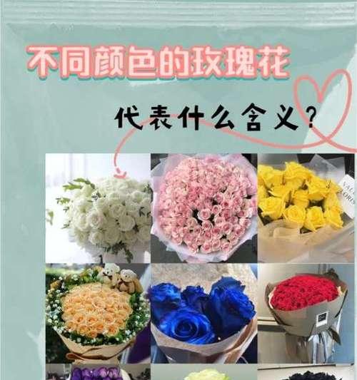 智慧成功的玫瑰花是什么颜色？象征智慧成功的玫瑰花有何含义？