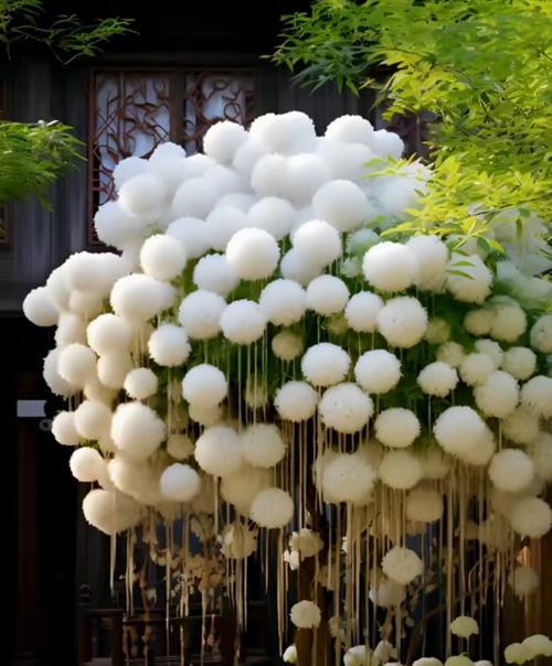 白色蓝花的寓意是什么？白色蓝花代表什么？