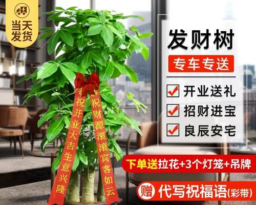 什么花象征着步步高升？