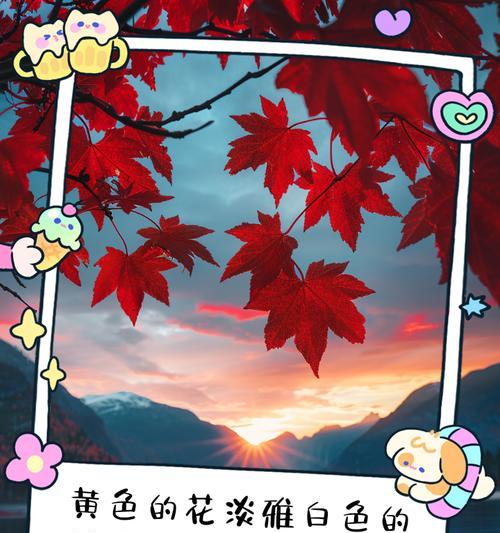 黄色花的淡雅含义是什么？