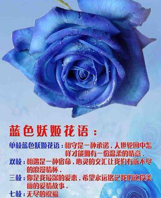 七色百花各自有什么花语？它们的寓意分别是什么？