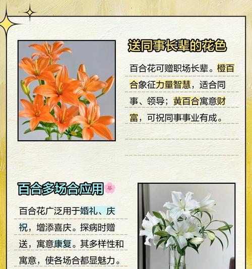 送花给老人有什么寓意？