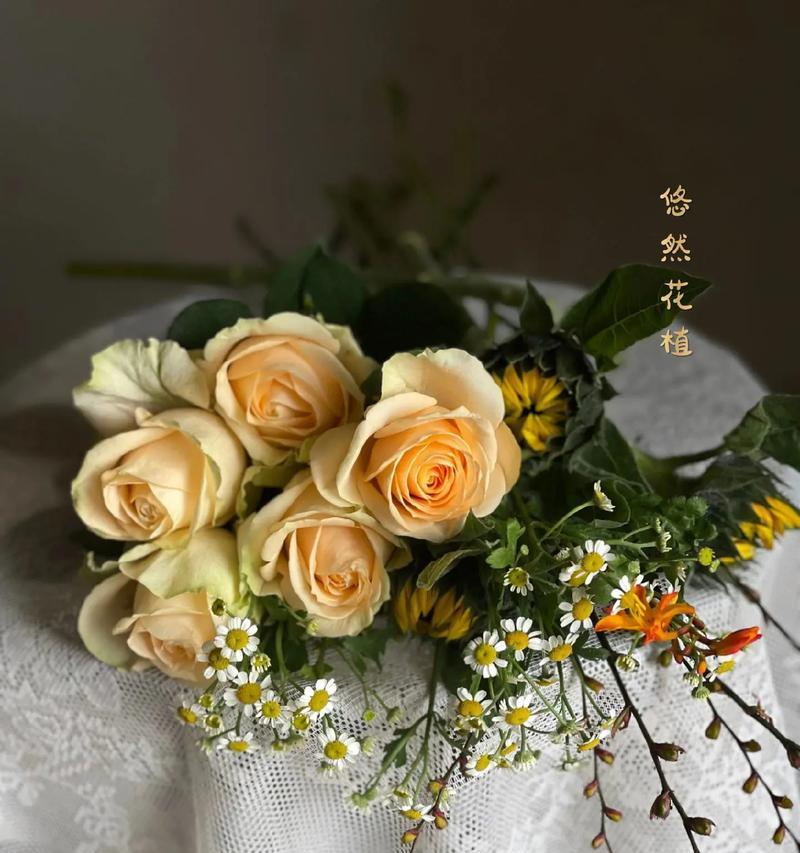 春节送香槟花有什么特别的寓意？
