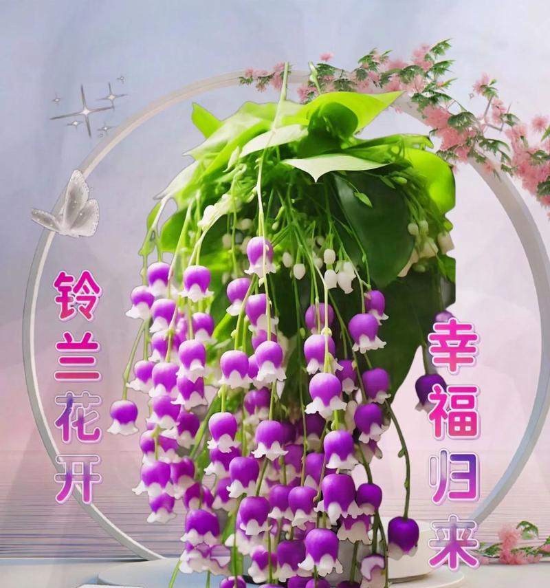 哪种花寓意好运和幸福？它们的花语是什么？
