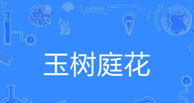 玉树不同颜色花的含义是什么？