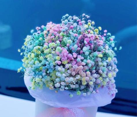蓝色满天星手捧花寓意何在？这种花束传递了哪些情感？