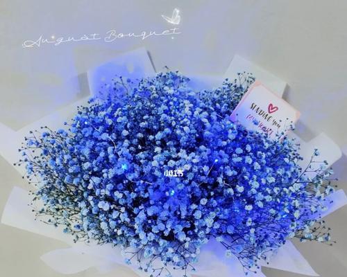 蓝色满天星手捧花寓意何在？这种花束传递了哪些情感？