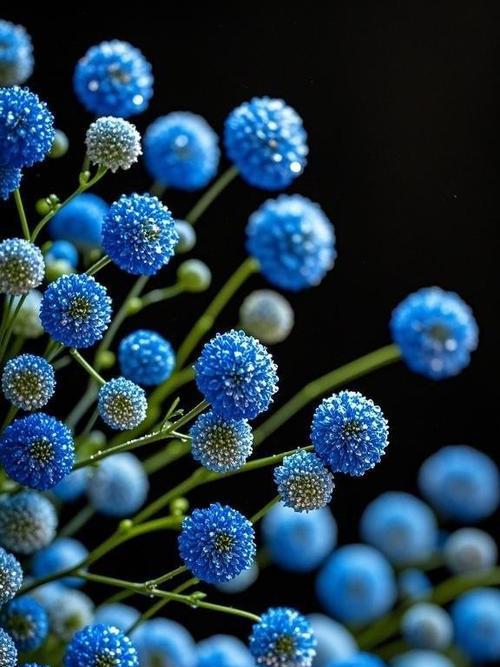 蓝色满天星手捧花寓意何在？这种花束传递了哪些情感？