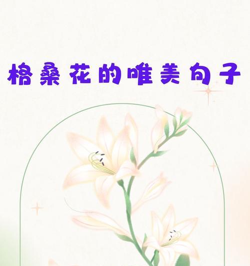 如何用花语表达浪漫的时光？花语浪漫的时光有哪些？