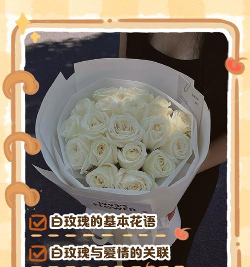 白色玫瑰象征什么？它的花语是什么？
