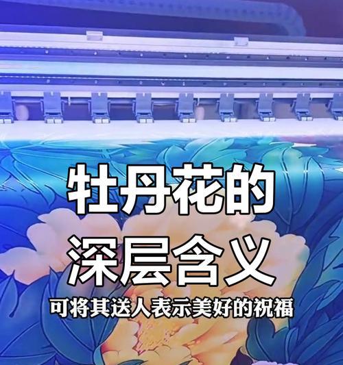 不同颜色的花各自有什么寓意？