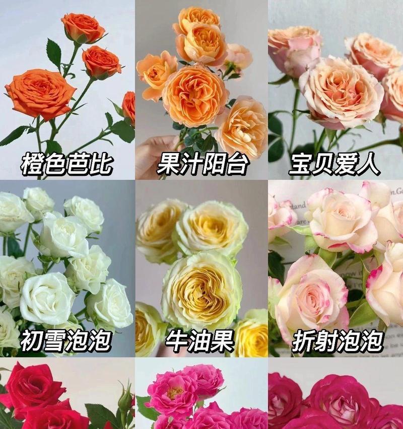 不同颜色的花各自有什么寓意？