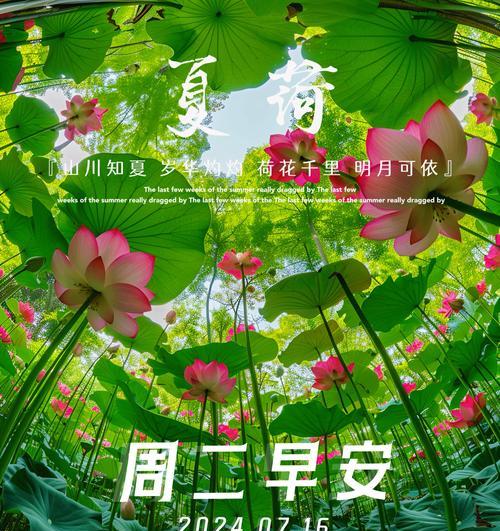 花的寓意和吉祥语句有哪些？如何挑选合适的花朵祝福？