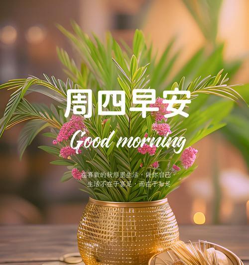 花的寓意和吉祥语句有哪些？如何挑选合适的花朵祝福？