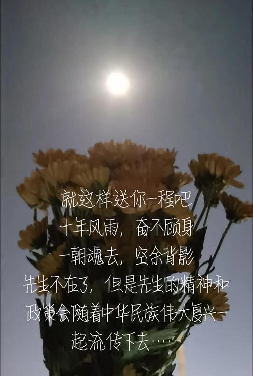 象征爱情不朽的花有哪些？爱情不朽的花卉有哪些象征意义？