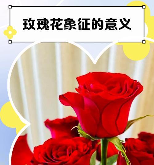 象征爱情不朽的花有哪些？爱情不朽的花卉有哪些象征意义？