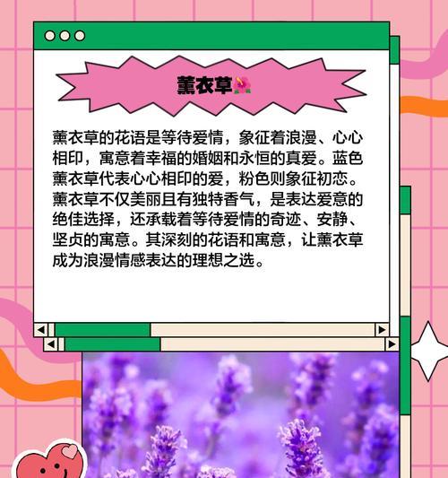 花作为爱情象征的意义是什么？