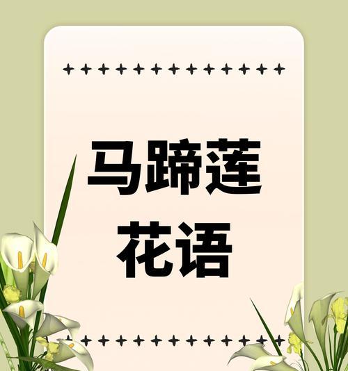 不抢手捧花的寓意是什么？