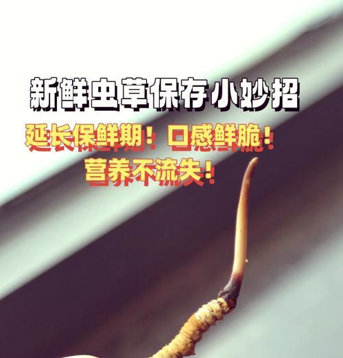母亲节送虫草花有何深意？虫草花在母亲节的寓意是什么？