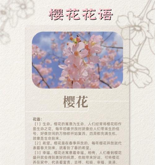 哪种花的花语是希望成功？