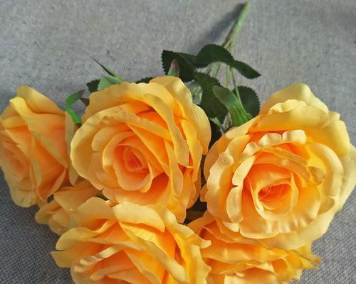 手捧玫瑰花代表什么？它的象征意义有哪些？