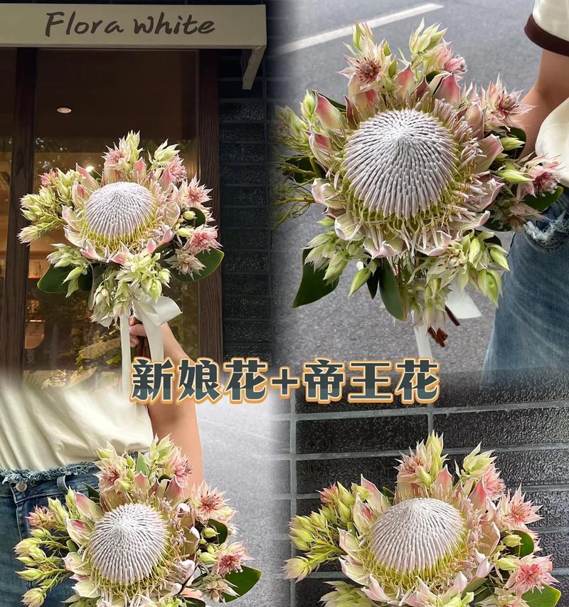 登记时手捧花的花语和寓意是什么？如何选择？