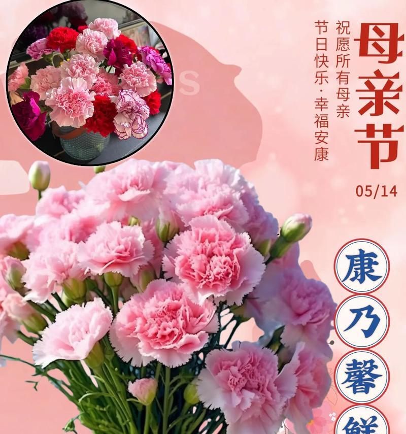 登记时手捧花的花语和寓意是什么？如何选择？