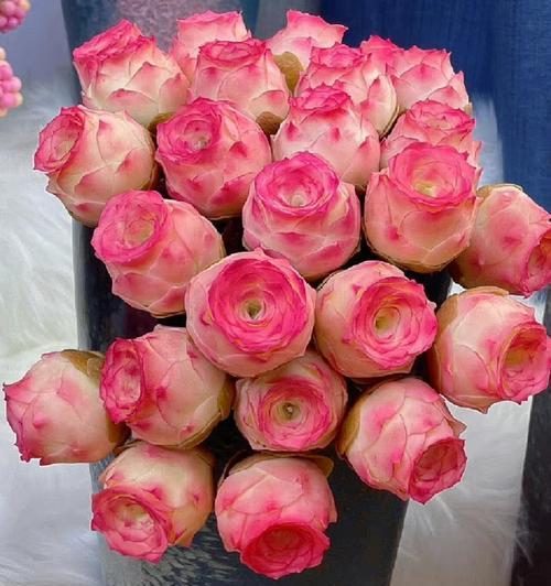 七夕送粉色玫瑰花代表什么？粉色玫瑰花的花语有哪些？